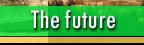 The future