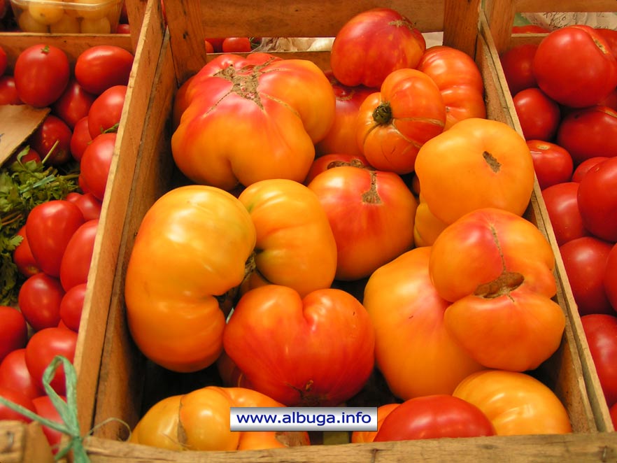 Las tomatas suausas de la familha Castang