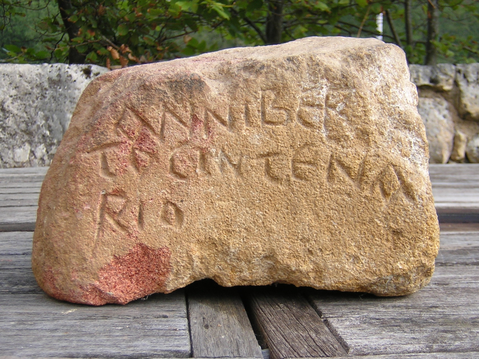 Vestigi de la centena franca d'Albuca Fàcia 1