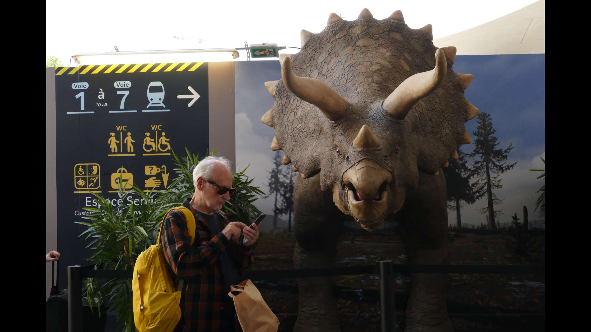 Exposicion presentada en 2018 a la Gara d'Austerlitz a París per lo Museum nacional d'Istòria Naturala. « A la descobèrta de la paleontologia, del mai petit dels microfossils al mai grand dels dinosaures ». Fòto copyright : Sofia Cattoire