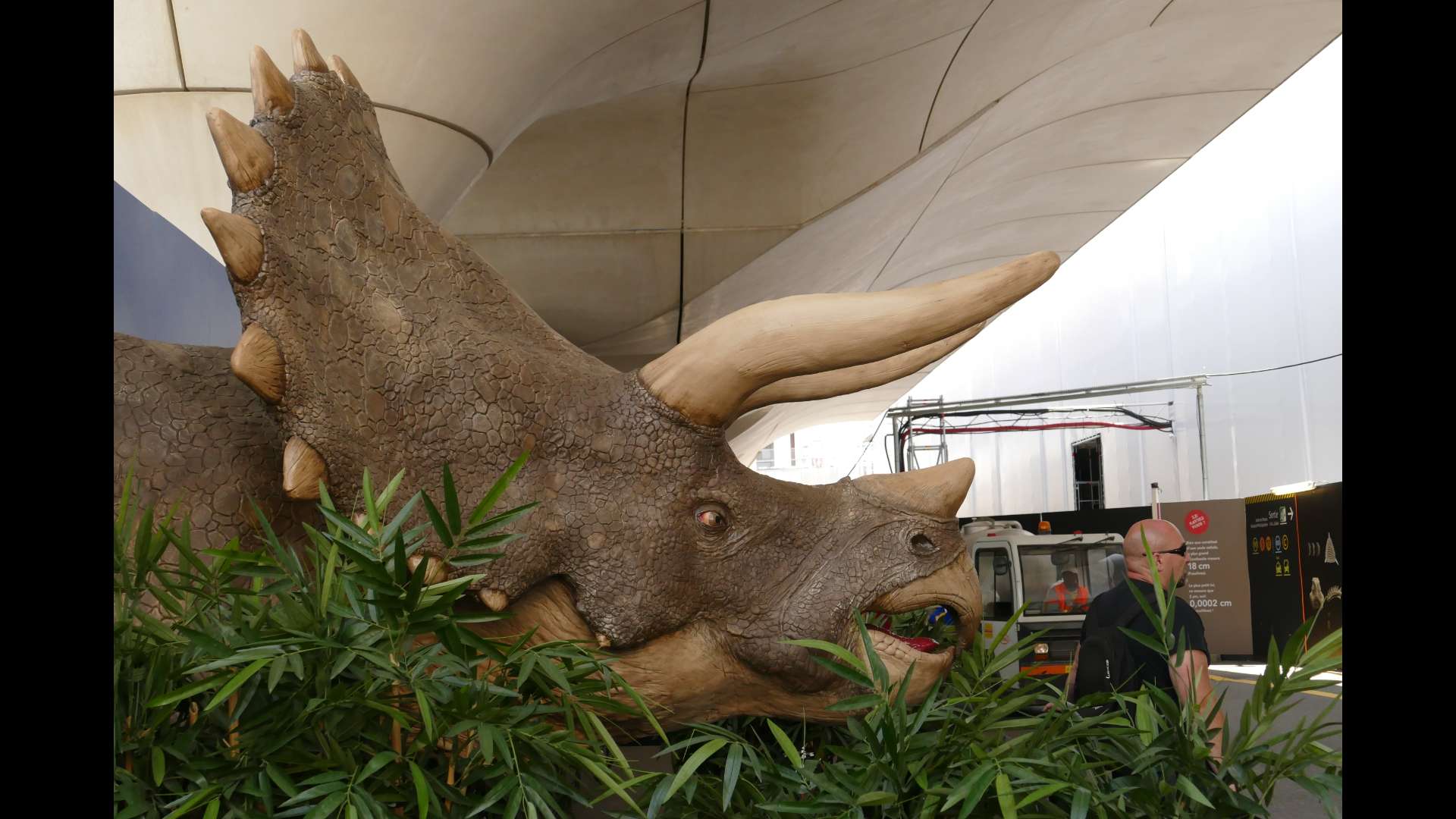 Exposicion presentada en 2018 a la Gara d'Austerlitz a París per lo Museum nacional d'Istòria Naturala. « A la descobèrta de la paleontologia, del mai petit dels microfossils al mai grand dels dinosaures ». Fòto copyright : Sofia Cattoire