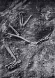 La primi�ra esqueleta descob�rta en 1909