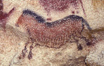 The red horse's winter coat of hair