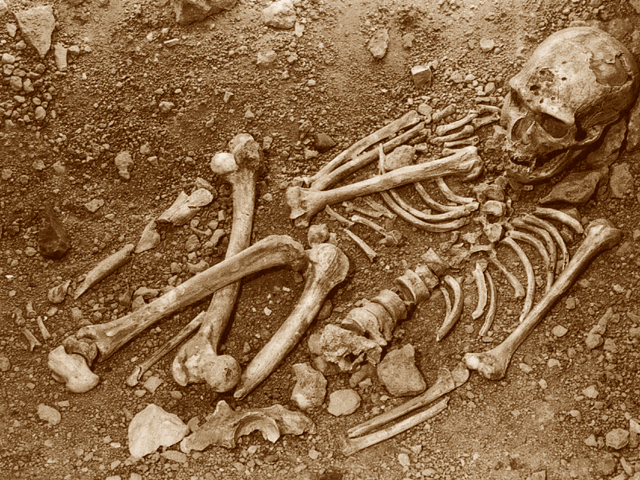 Skeleton, La Chapelle-aux-Saints